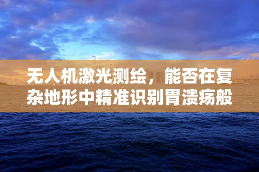 无人机激光测绘，能否在复杂地形中精准识别胃溃疡般的地面异常？