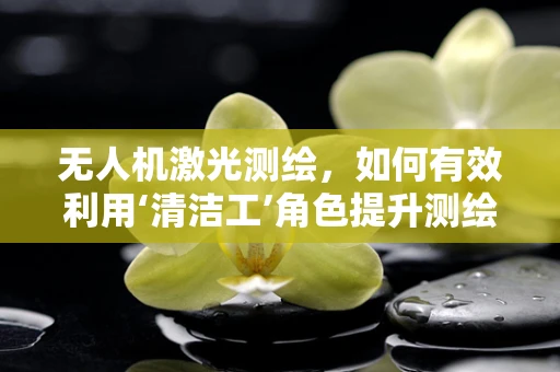 无人机激光测绘，如何有效利用‘清洁工’角色提升测绘精度？