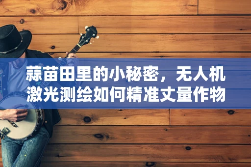 蒜苗田里的小秘密，无人机激光测绘如何精准丈量作物高度？