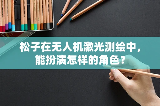 松子在无人机激光测绘中，能扮演怎样的角色？
