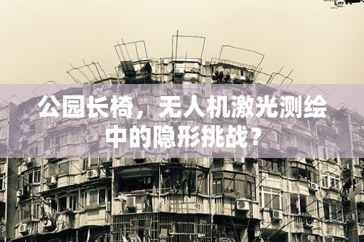 公园长椅，无人机激光测绘中的隐形挑战？