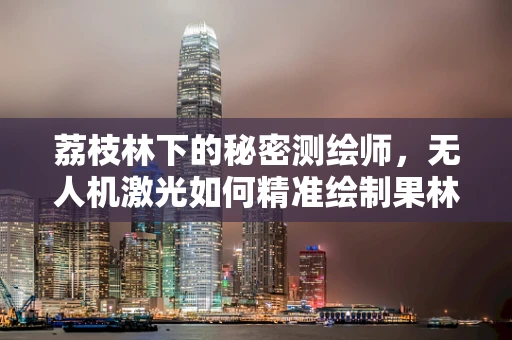 荔枝林下的秘密测绘师，无人机激光如何精准绘制果林地图？
