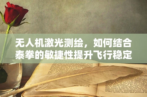 无人机激光测绘，如何结合泰拳的敏捷性提升飞行稳定性？