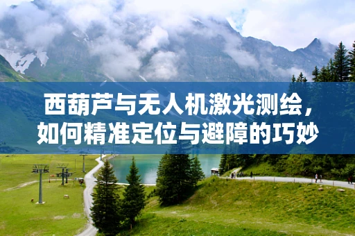 西葫芦与无人机激光测绘，如何精准定位与避障的巧妙结合？
