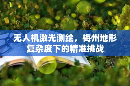 无人机激光测绘，梅州地形复杂度下的精准挑战
