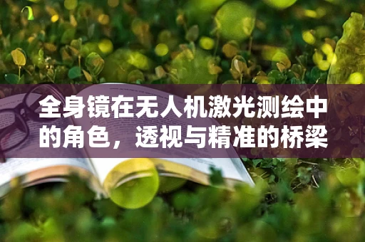 全身镜在无人机激光测绘中的角色，透视与精准的桥梁？