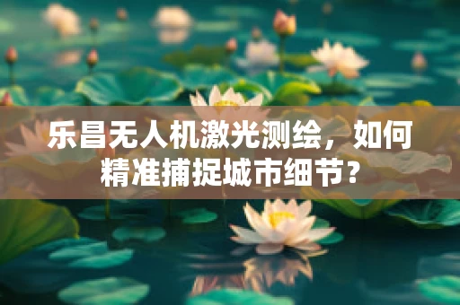 乐昌无人机激光测绘，如何精准捕捉城市细节？