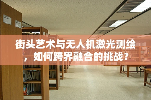 街头艺术与无人机激光测绘，如何跨界融合的挑战？