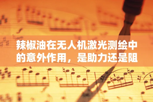 辣椒油在无人机激光测绘中的意外作用，是助力还是阻力？