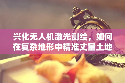 兴化无人机激光测绘，如何在复杂地形中精准丈量土地？