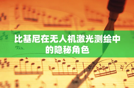 比基尼在无人机激光测绘中的隐秘角色