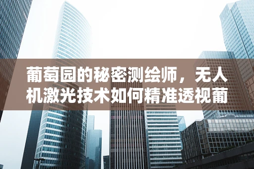 葡萄园的秘密测绘师，无人机激光技术如何精准透视葡萄生长？