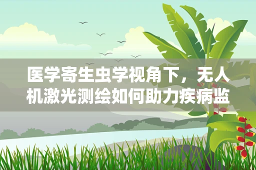 医学寄生虫学视角下，无人机激光测绘如何助力疾病监测？