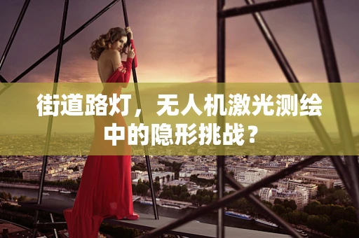 街道路灯，无人机激光测绘中的隐形挑战？