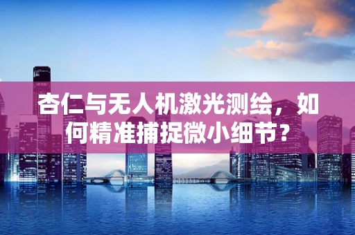 杏仁与无人机激光测绘，如何精准捕捉微小细节？