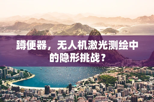 蹲便器，无人机激光测绘中的隐形挑战？