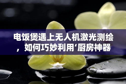 电饭煲遇上无人机激光测绘，如何巧妙利用‘厨房神器’提升测绘精度？