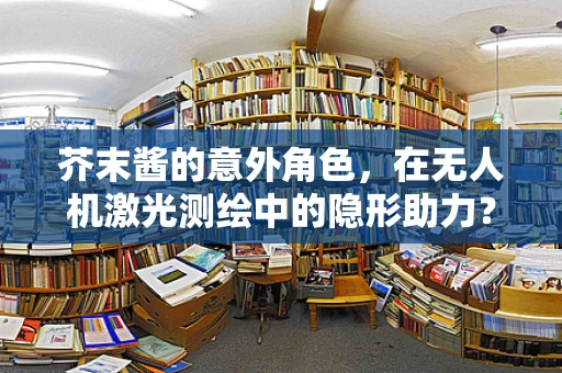 芥末酱的意外角色，在无人机激光测绘中的隐形助力？