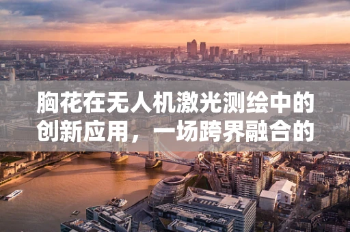 胸花在无人机激光测绘中的创新应用，一场跨界融合的探索
