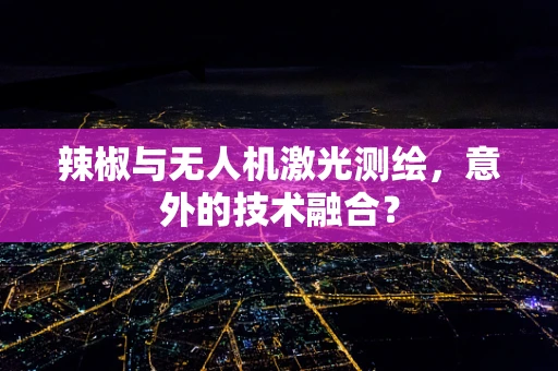 辣椒与无人机激光测绘，意外的技术融合？