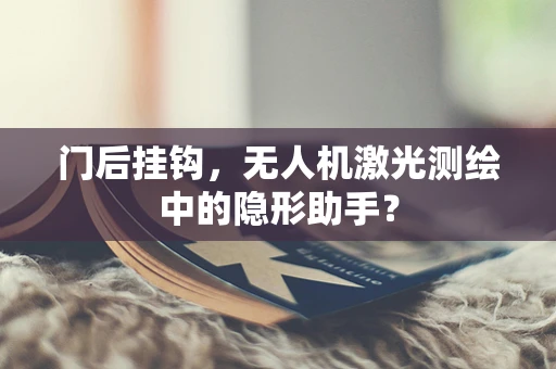 门后挂钩，无人机激光测绘中的隐形助手？