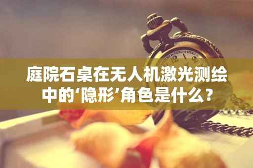 庭院石桌在无人机激光测绘中的‘隐形’角色是什么？