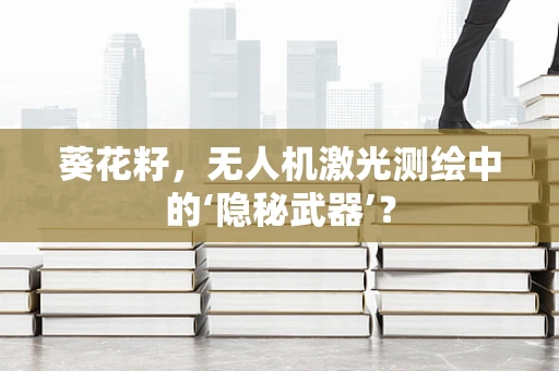 葵花籽，无人机激光测绘中的‘隐秘武器’？