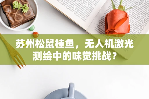 苏州松鼠桂鱼，无人机激光测绘中的味觉挑战？