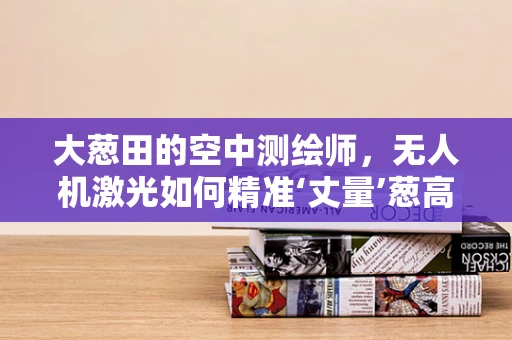 大葱田的空中测绘师，无人机激光如何精准‘丈量’葱高？