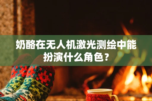 奶酪在无人机激光测绘中能扮演什么角色？