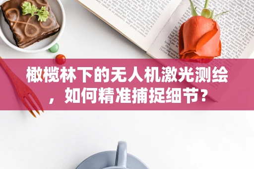 橄榄林下的无人机激光测绘，如何精准捕捉细节？