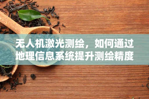 无人机激光测绘，如何通过地理信息系统提升测绘精度？