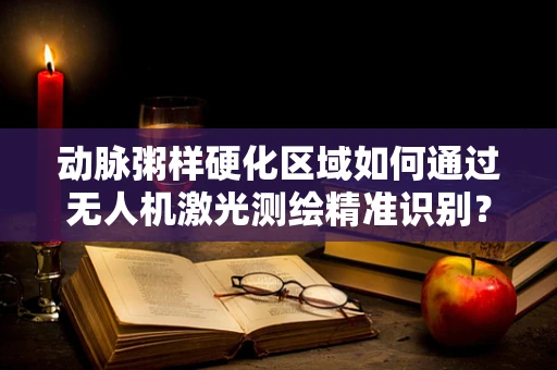 动脉粥样硬化区域如何通过无人机激光测绘精准识别？