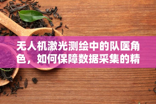 无人机激光测绘中的队医角色，如何保障数据采集的精准与安全？