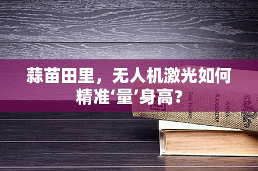蒜苗田里，无人机激光如何精准‘量’身高？
