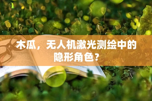 木瓜，无人机激光测绘中的隐形角色？