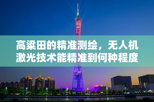 高粱田的精准测绘，无人机激光技术能精准到何种程度？