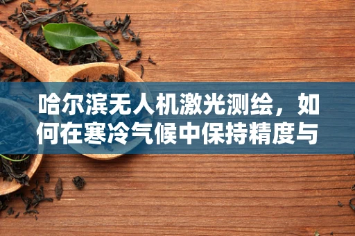 哈尔滨无人机激光测绘，如何在寒冷气候中保持精度与效率？