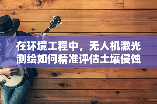 在环境工程中，无人机激光测绘如何精准评估土壤侵蚀？
