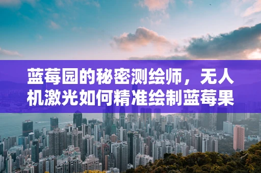 蓝莓园的秘密测绘师，无人机激光如何精准绘制蓝莓果园地图？