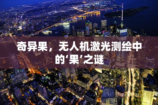 奇异果，无人机激光测绘中的‘果’之谜