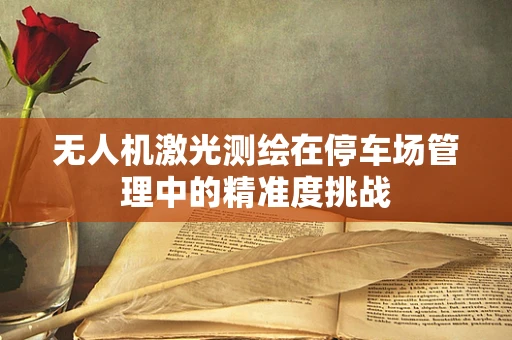 无人机激光测绘在停车场管理中的精准度挑战