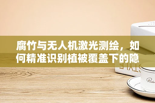 腐竹与无人机激光测绘，如何精准识别植被覆盖下的隐蔽结构？