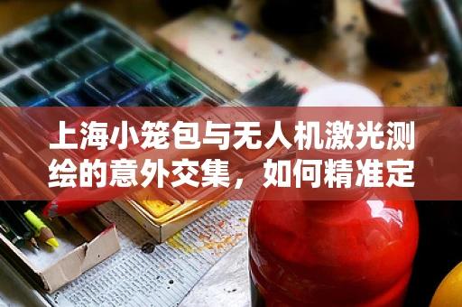 上海小笼包与无人机激光测绘的意外交集，如何精准定位城市天际线下的美食热点？