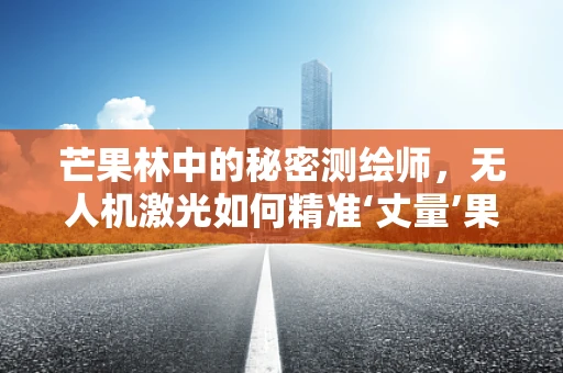 芒果林中的秘密测绘师，无人机激光如何精准‘丈量’果林？