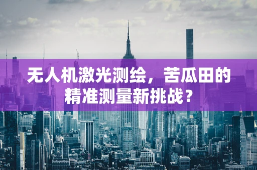 无人机激光测绘，苦瓜田的精准测量新挑战？
