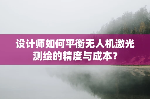 设计师如何平衡无人机激光测绘的精度与成本？
