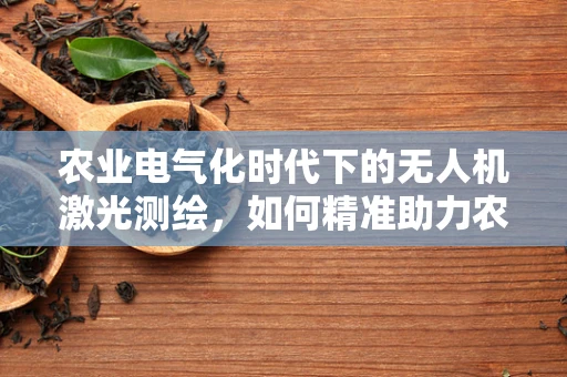农业电气化时代下的无人机激光测绘，如何精准助力农田管理？