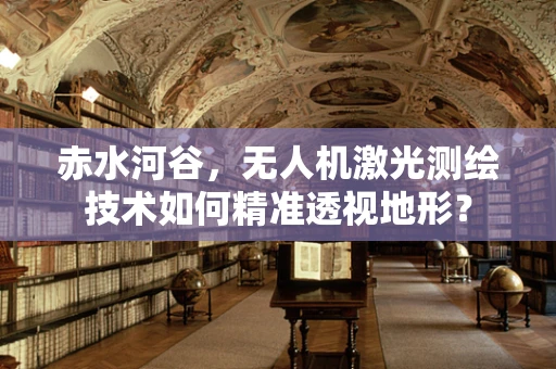 赤水河谷，无人机激光测绘技术如何精准透视地形？