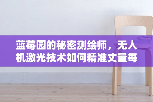 蓝莓园的秘密测绘师，无人机激光技术如何精准丈量每一颗蓝莓的甜蜜家园？